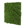 Jangal Modular Wall mospanel 52 x 52 cm - Dark Green Bulk